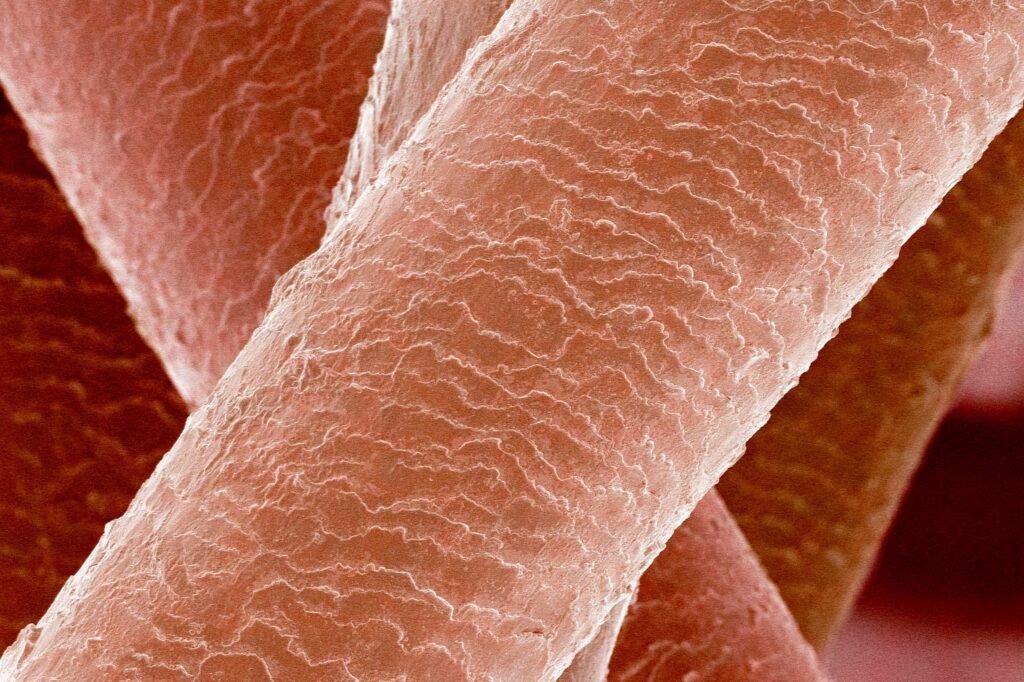 a picture that shows hair under a microscope